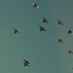 Madisen Cole Profile Picture