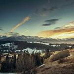 Marques Cummings Profile Picture