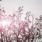 Wava Ernser Profile Picture