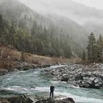 Abbey Jacobi Profile Picture