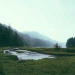 Trever Schowalter Profile Picture