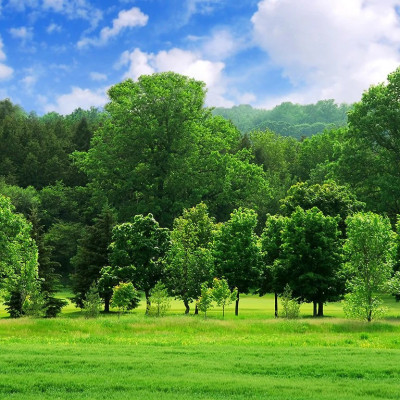 phone 17pro Profile Picture