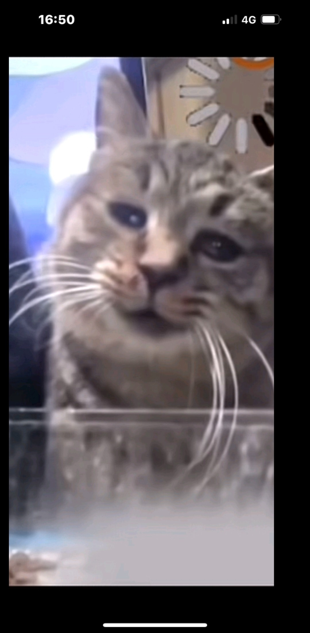 Giang Thang Profile Picture