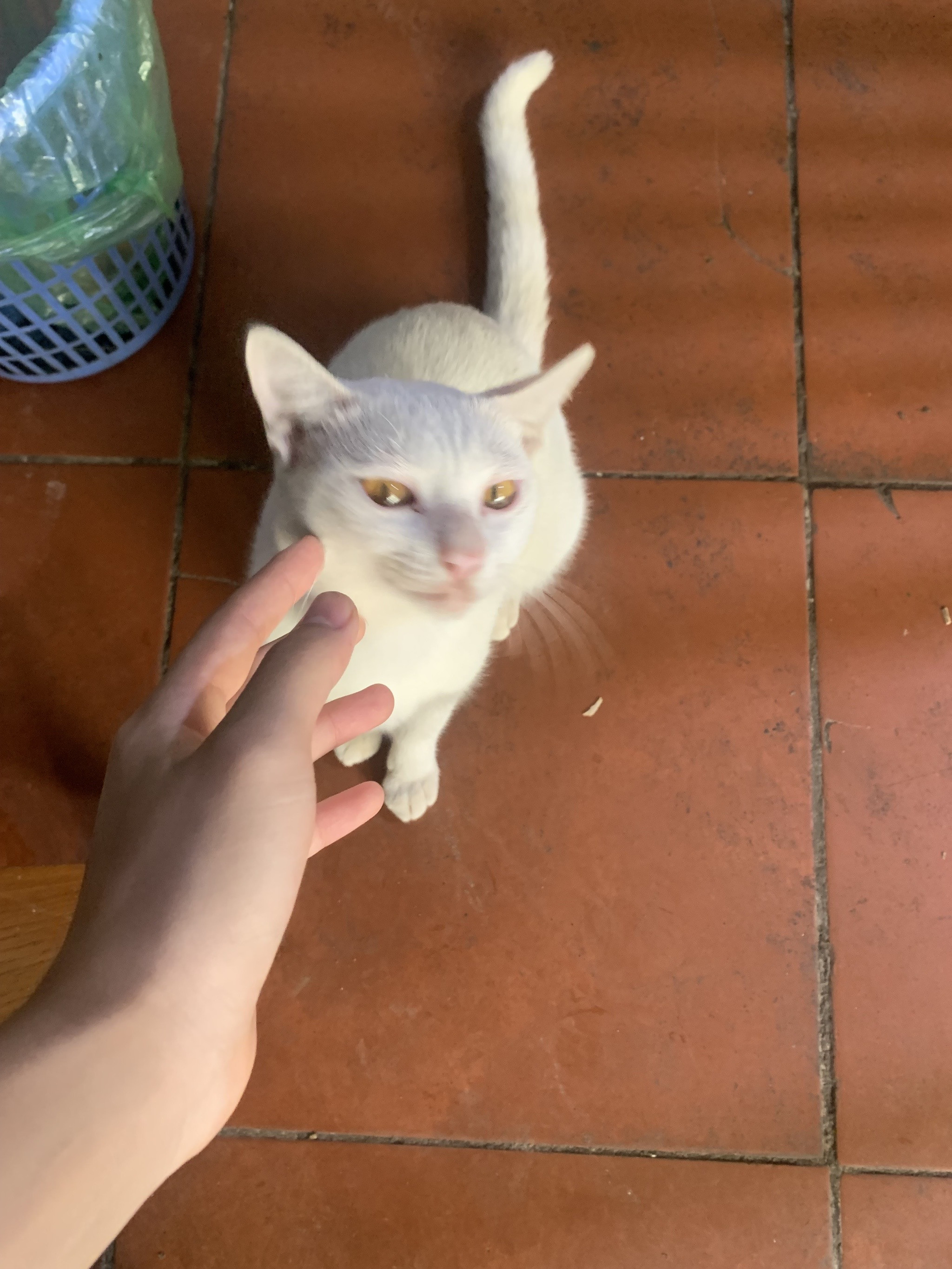 quyen dao Profile Picture